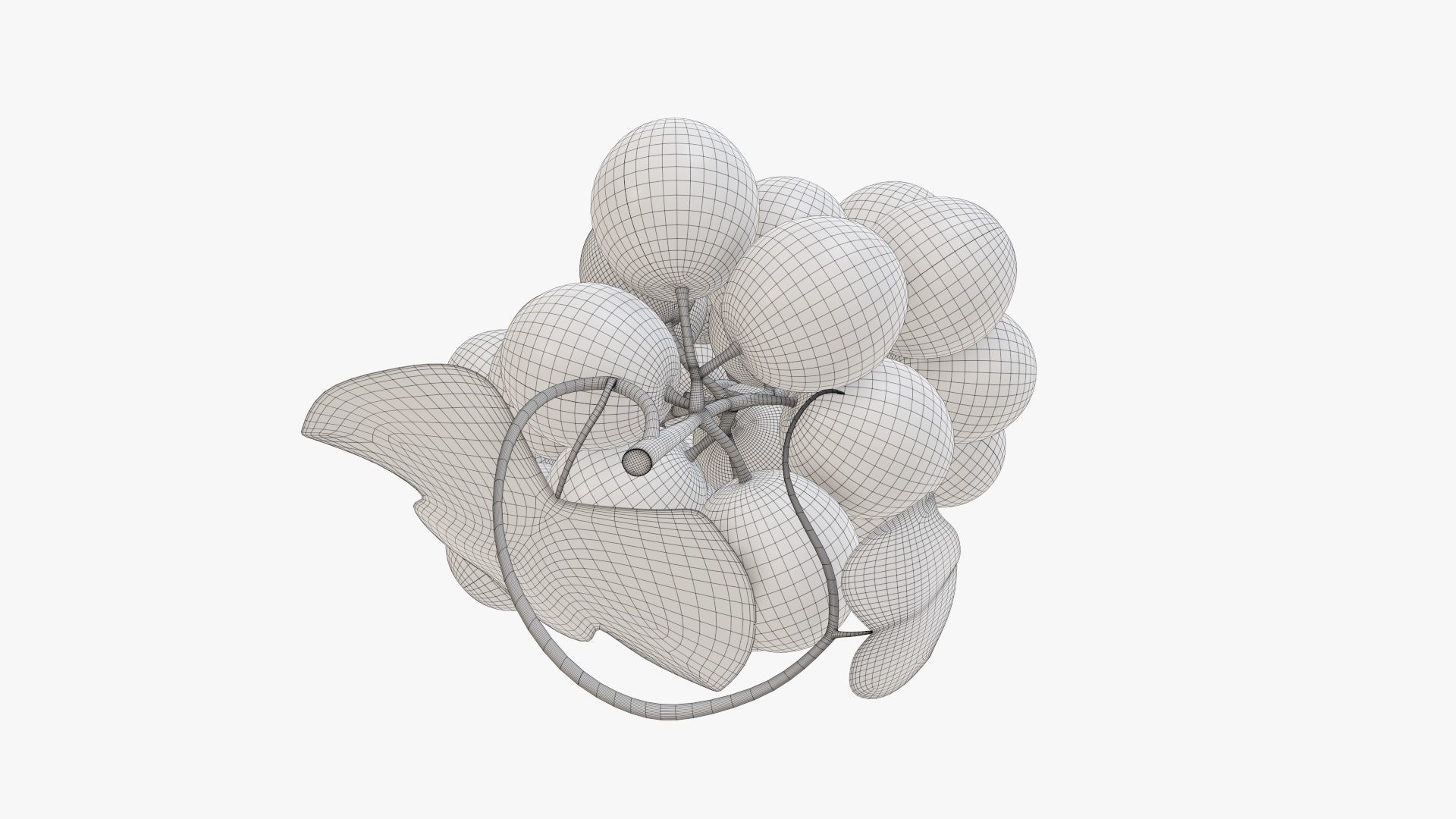 Grapes 02 3D model_11