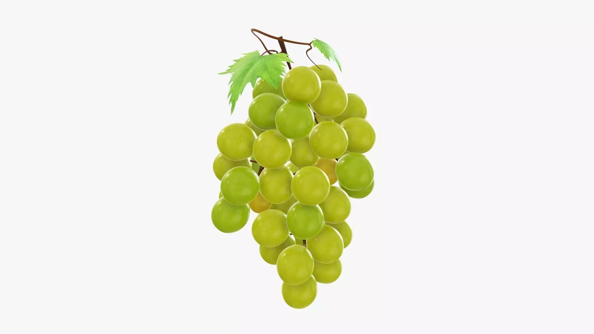 Grapes 02 3D model_0