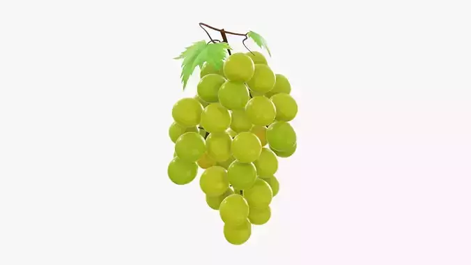 Grapes 02