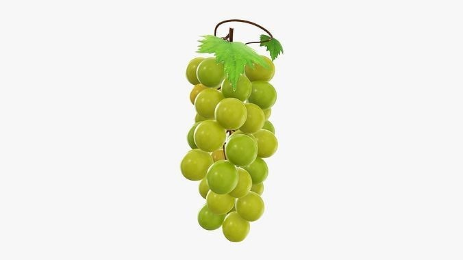 Grapes 02 3D model 2