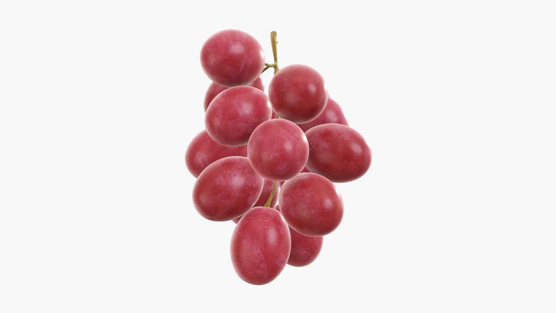 Grapes 03 3D model_4