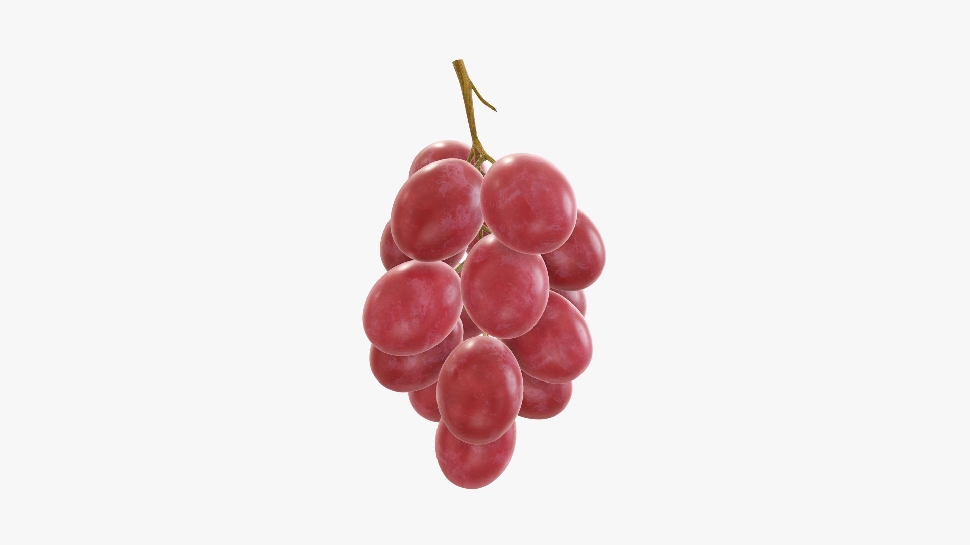 Grapes 03 3D model_1