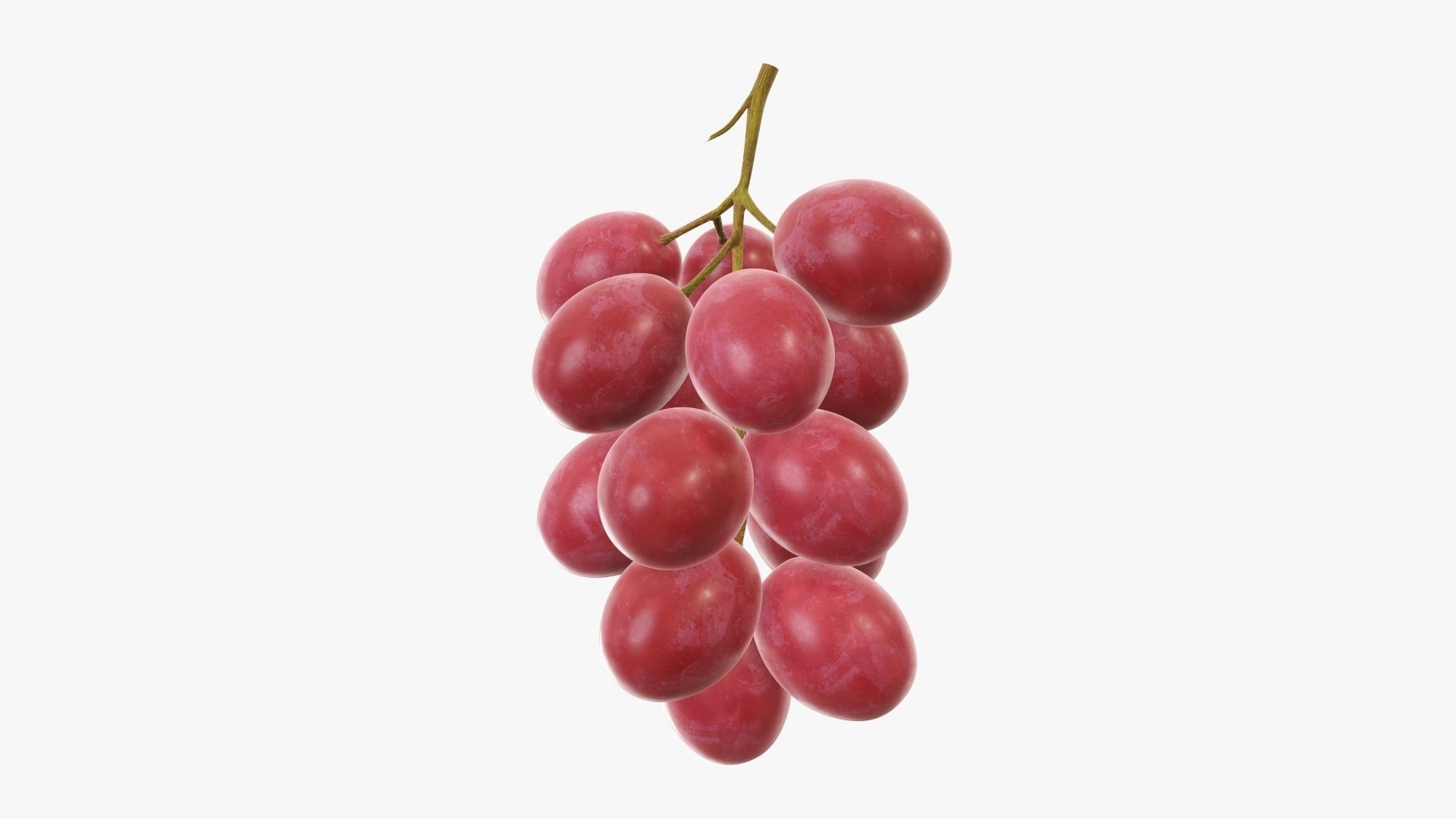 Grapes 03 3D model_2