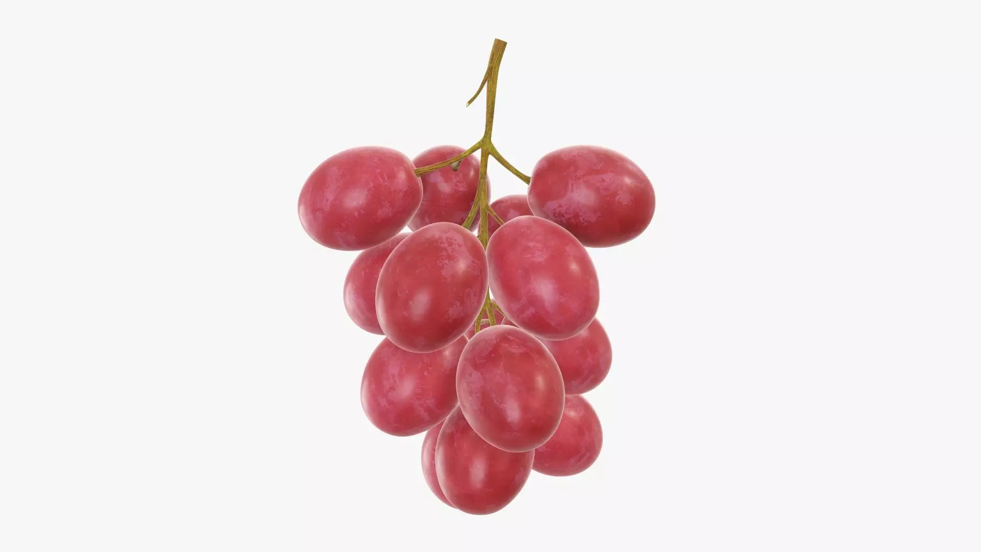 Grapes 03 3D model_0