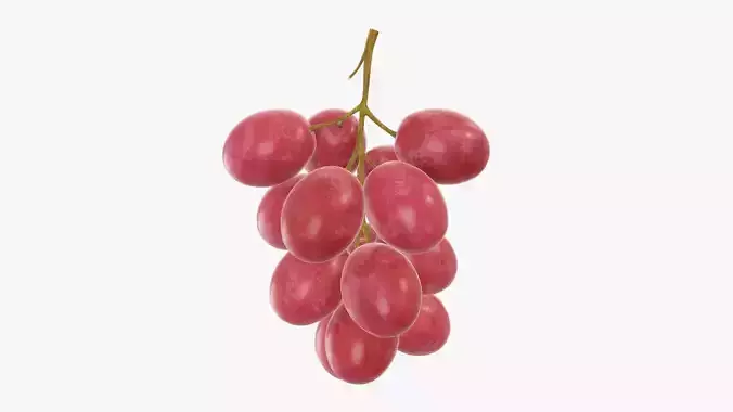 Grapes 03