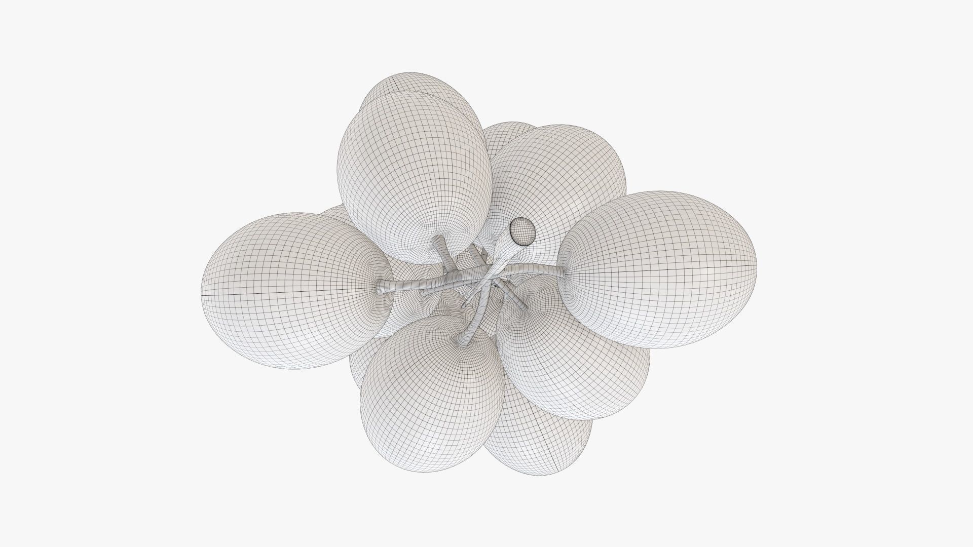 Grapes 03 3D model_11