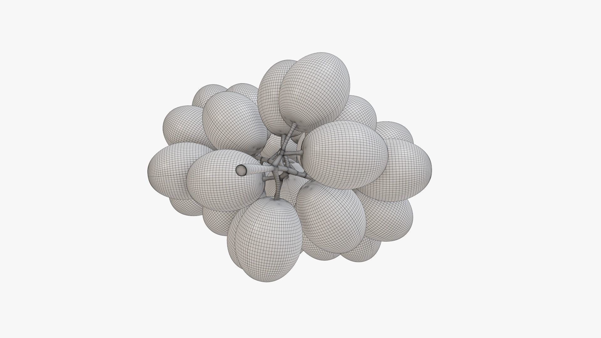Grapes 04 3D model_11