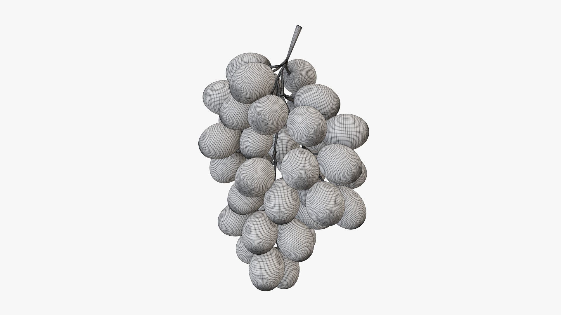 Grapes 04 3D model_6