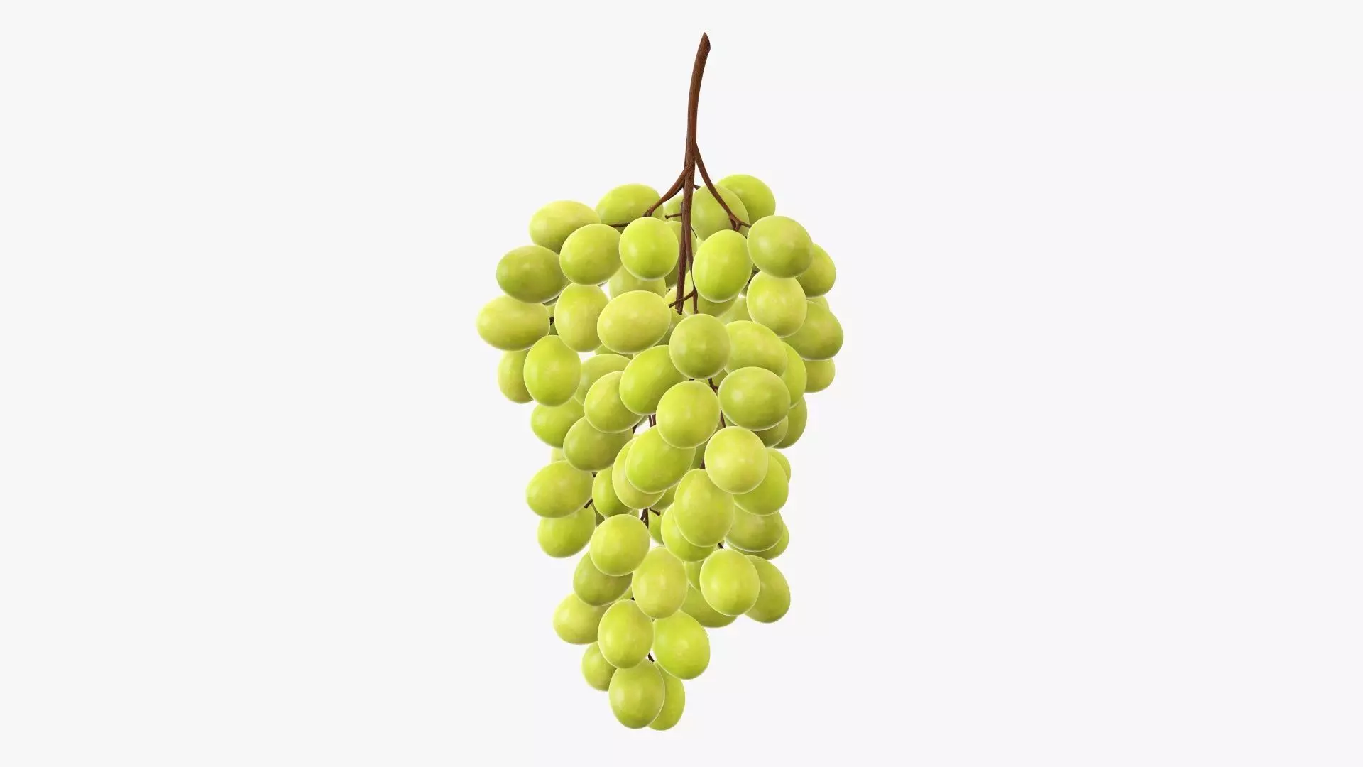 Grapes 05 3D model