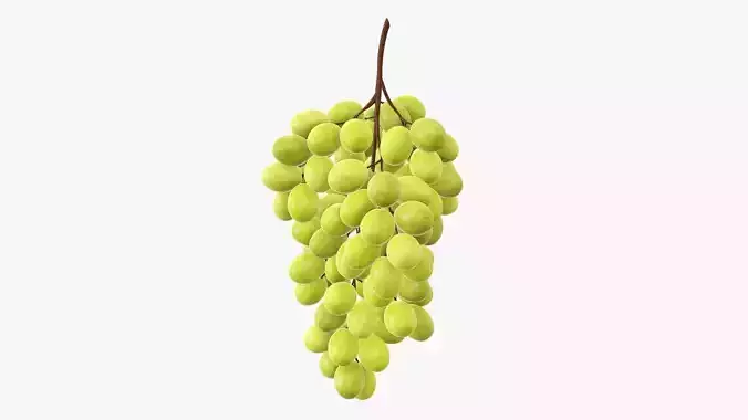 Grapes 05 3D model