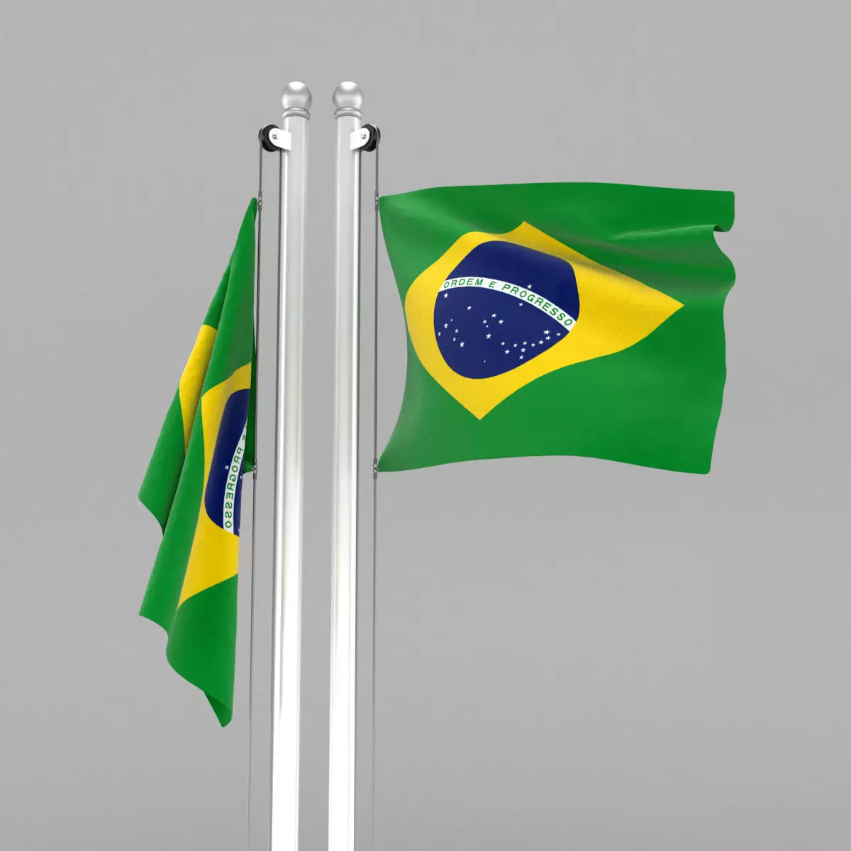 Flag of Brazil 3D model_0