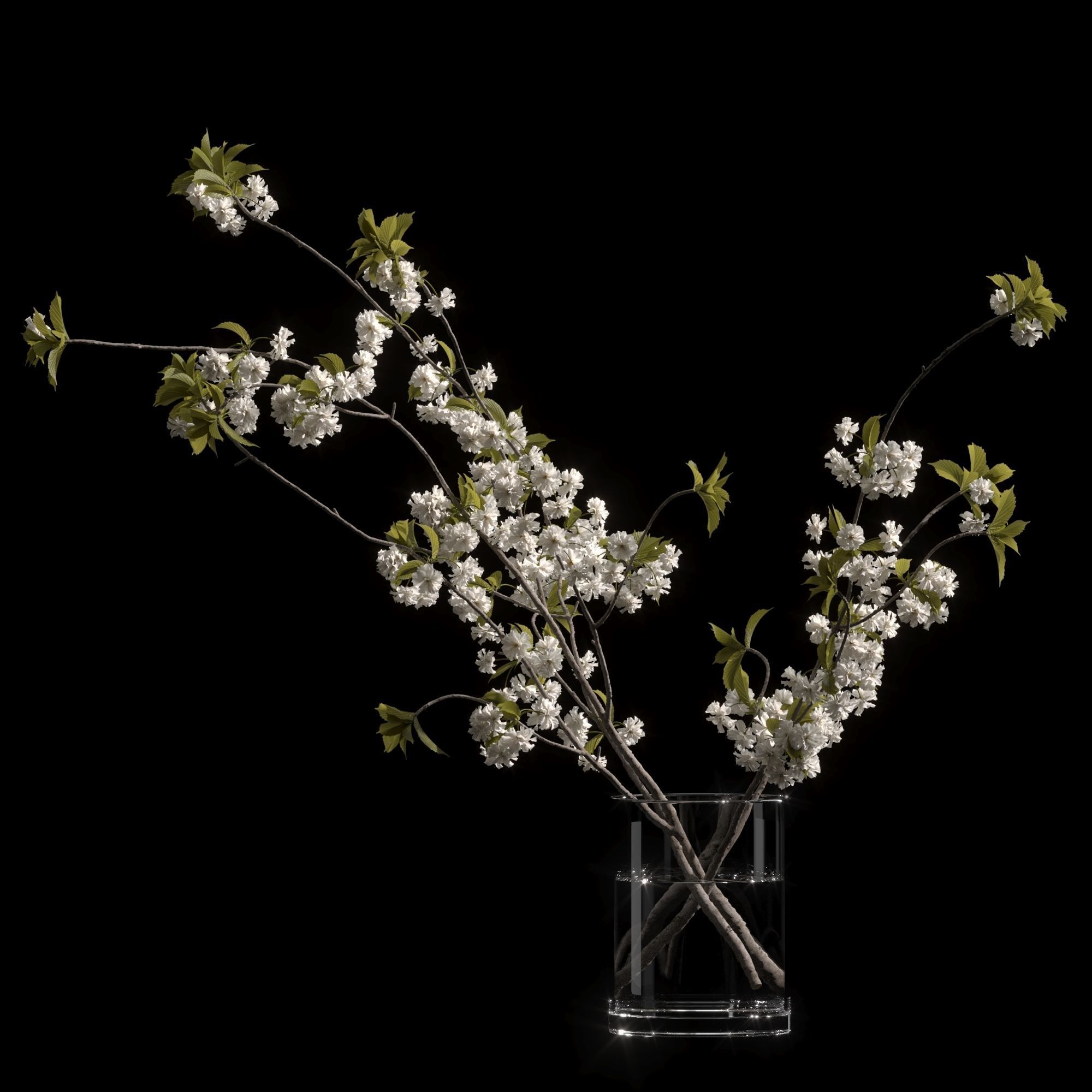 Japanese cherry branches white 3D model_7