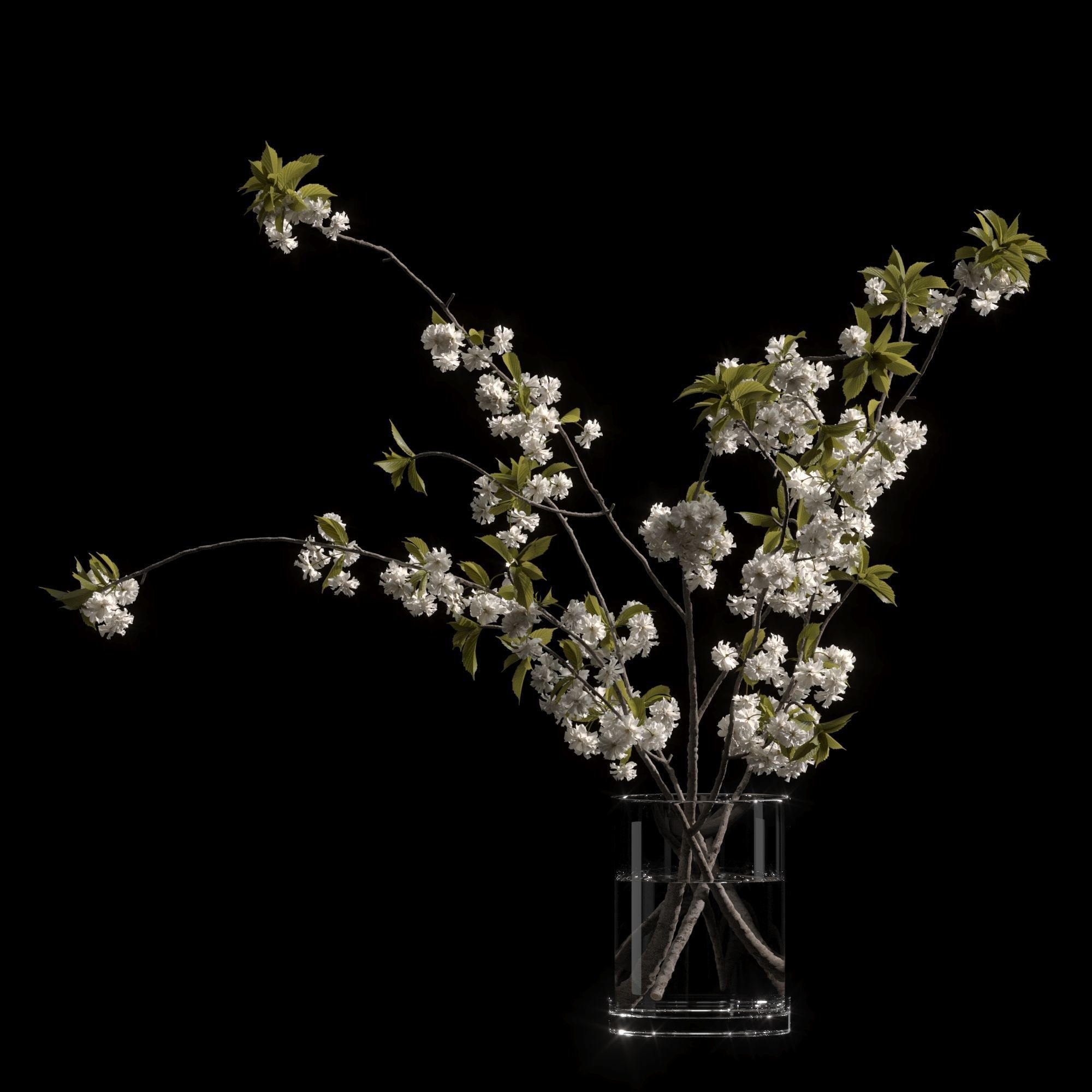 Japanese cherry branches white 3D model_6