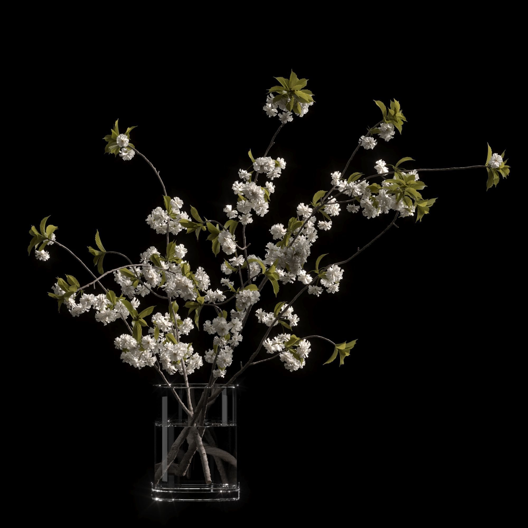 Japanese cherry branches white 3D model_2
