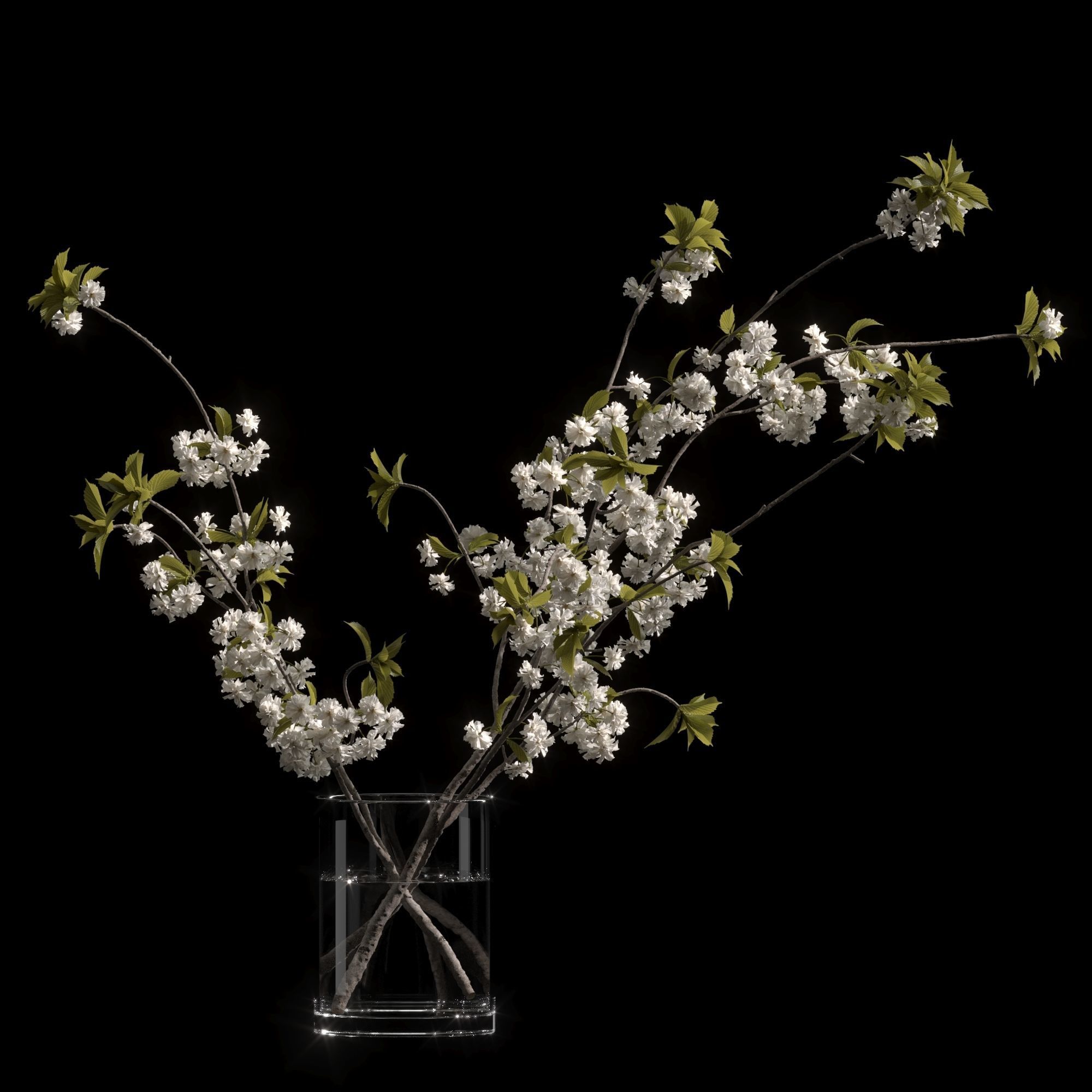 Japanese cherry branches white 3D model_4