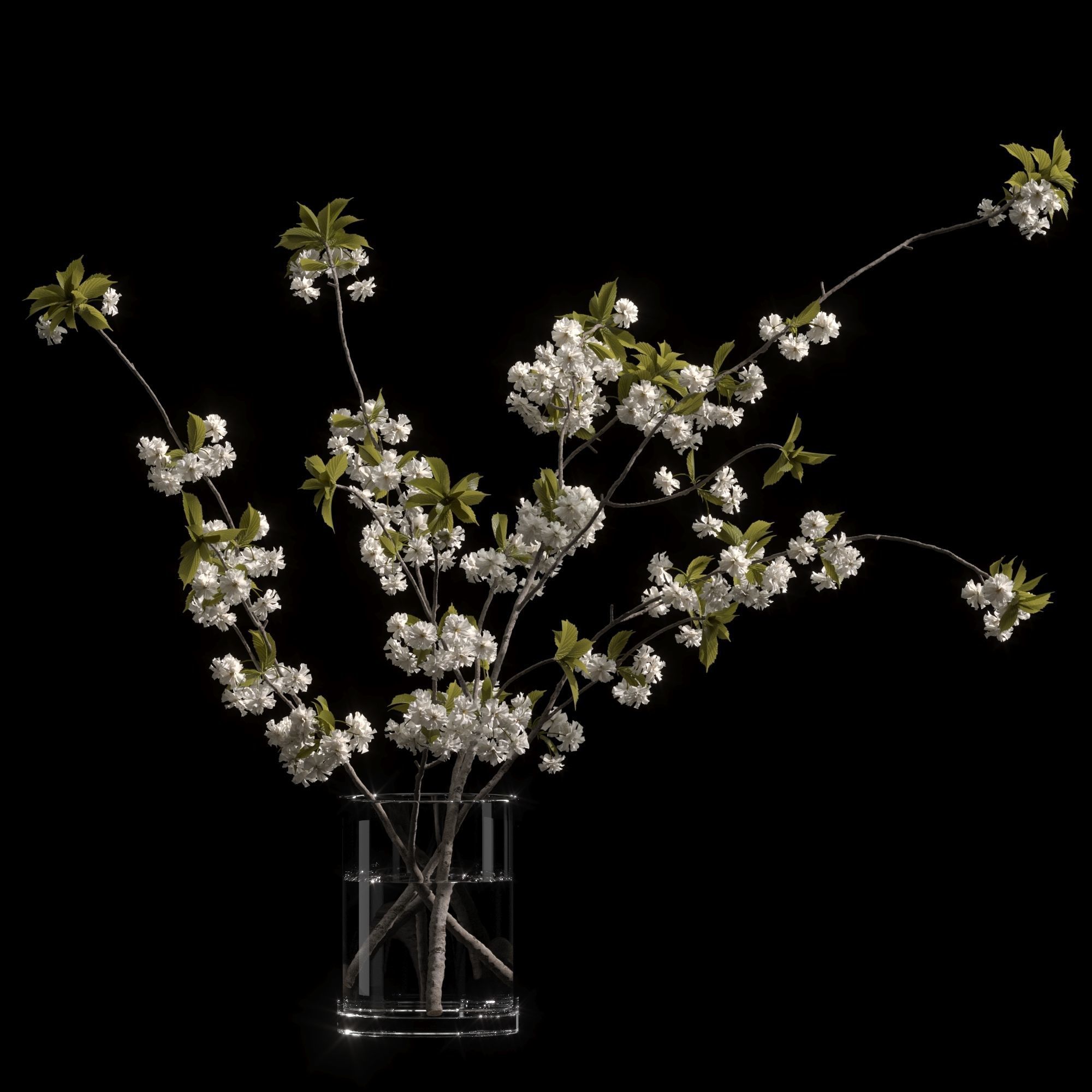 Japanese cherry branches white 3D model_3