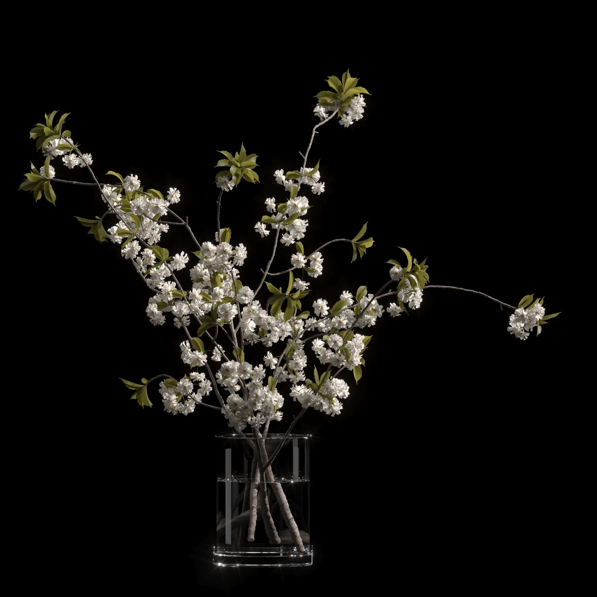 Japanese cherry branches white 3D model_5