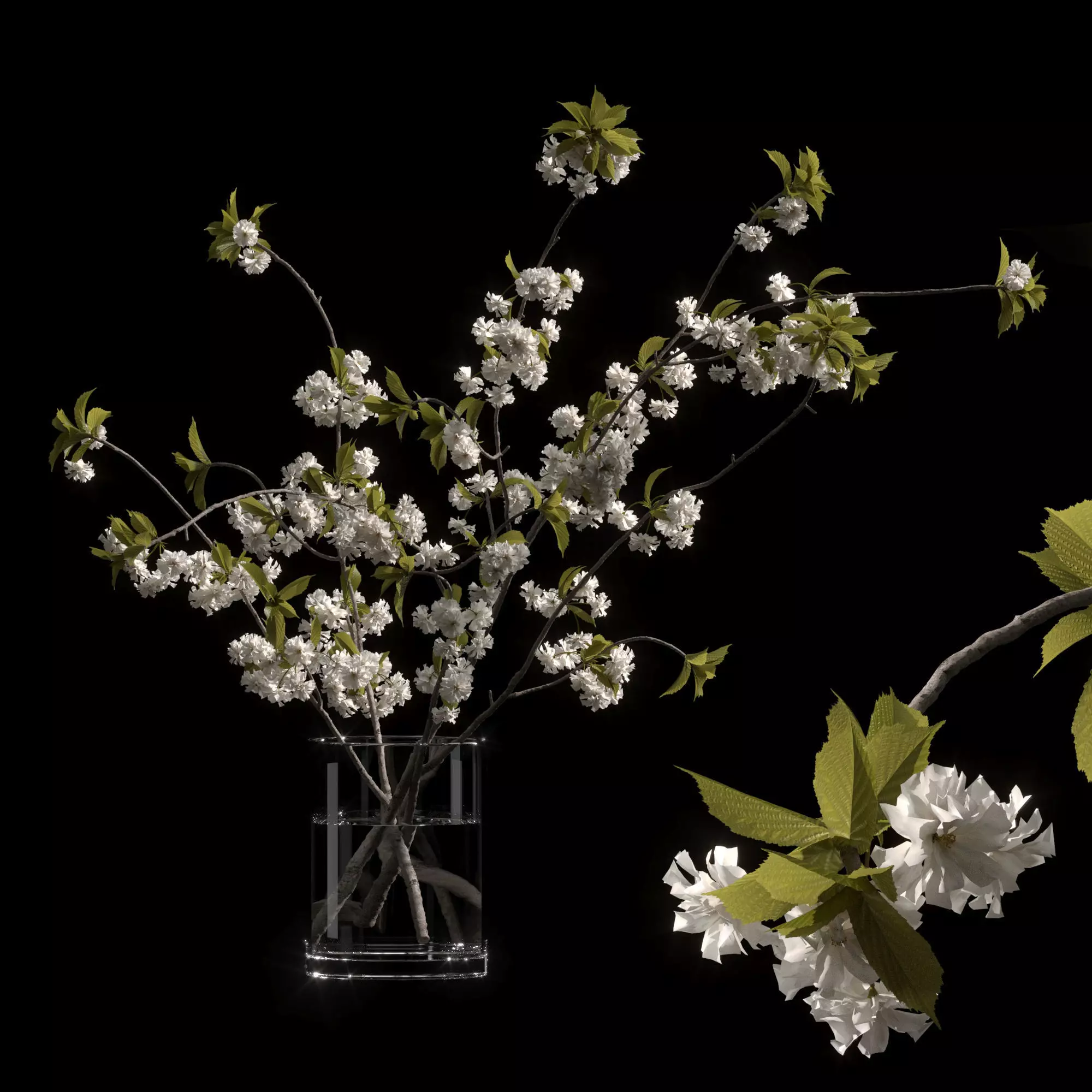 Japanese cherry branches white 3D model_0