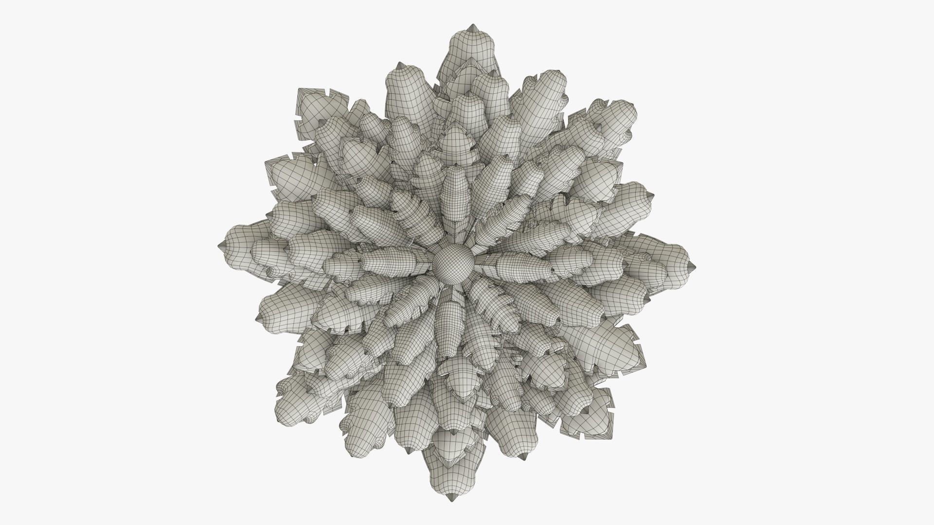 Christmas fir tree stylized 02 3D model_8