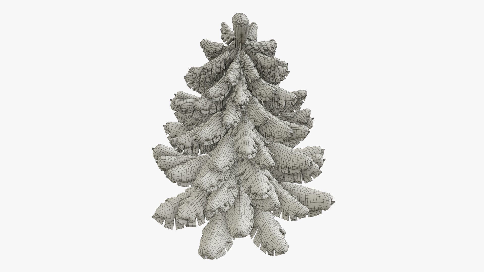 Christmas fir tree stylized 02 3D model_7