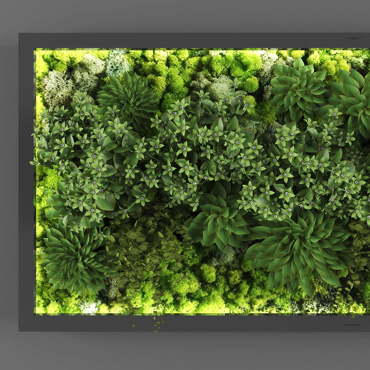 Vertical garden 85 Low-poly 3D model_1