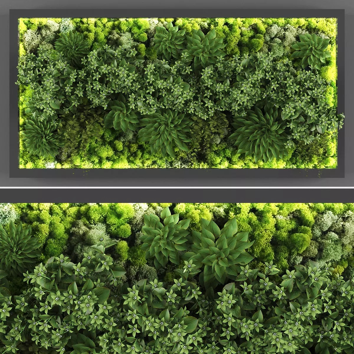 Vertical garden 85 Low-poly 3D model_0