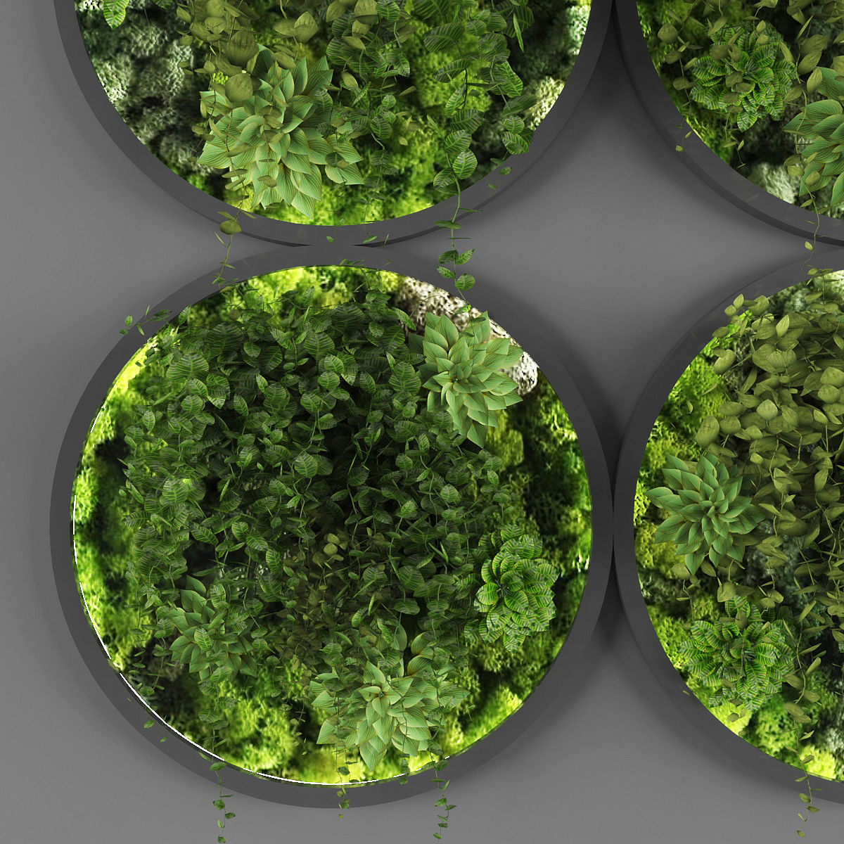 Vertical garden 88 Low-poly 3D model_1