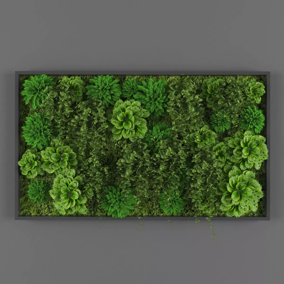 Vertical garden 94 Low-poly 3D model_0