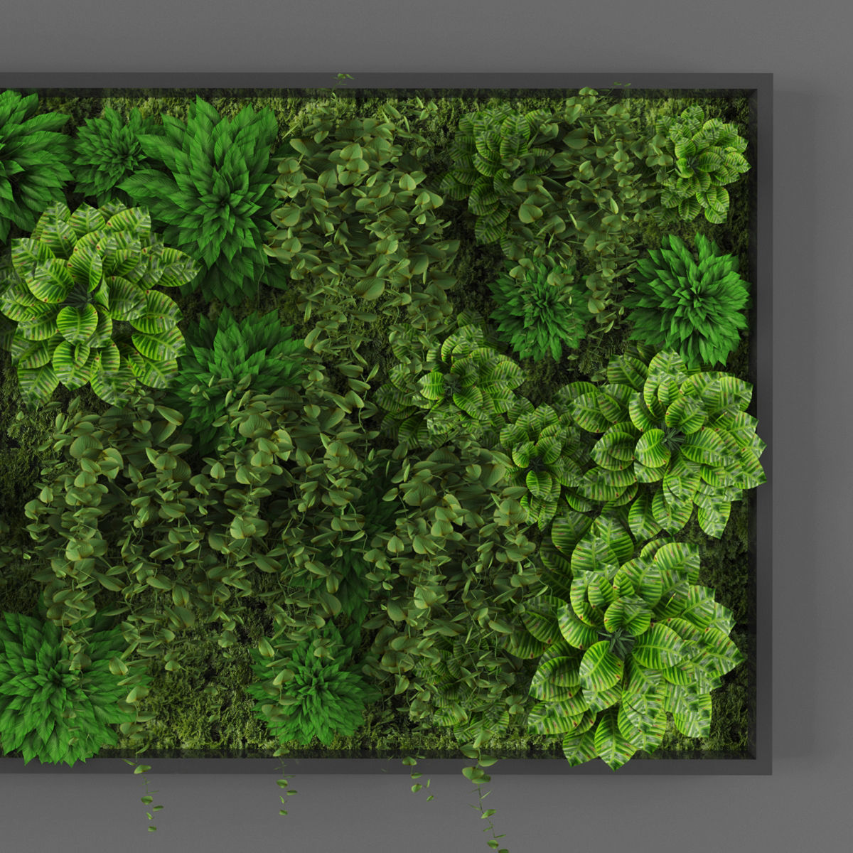 Vertical garden 94 Low-poly 3D model_1