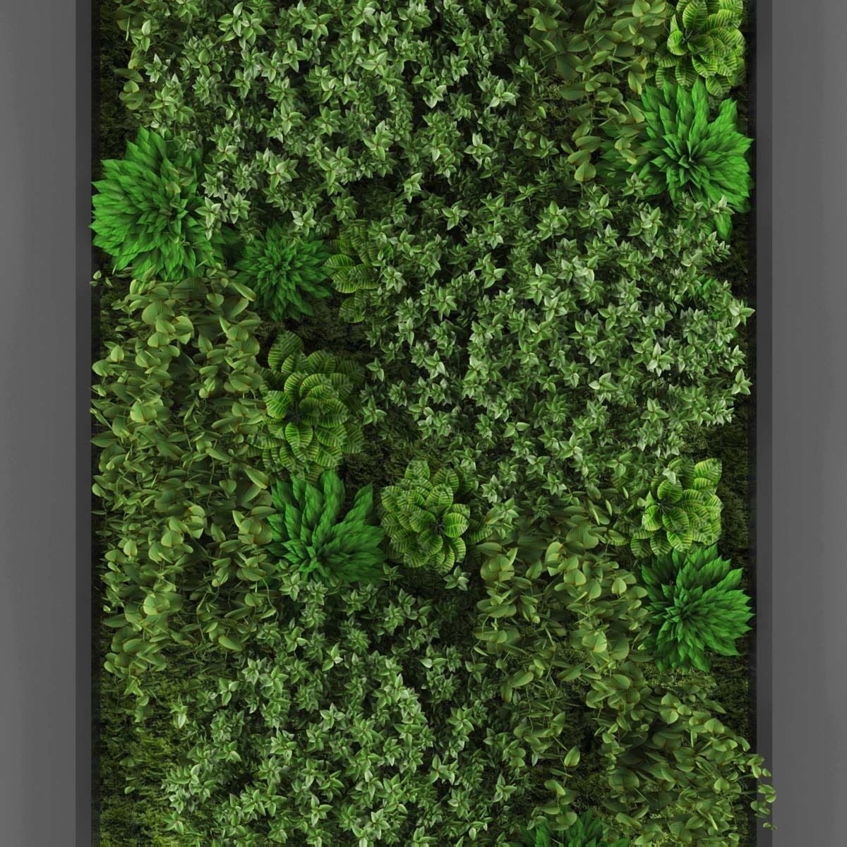 Vertical garden 102 Low-poly 3D model_1