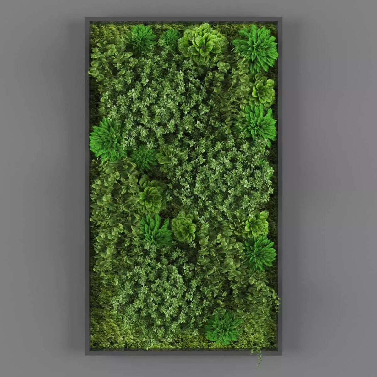 Vertical garden 102 Low-poly 3D model_0