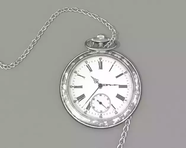 Pocket watch with chain