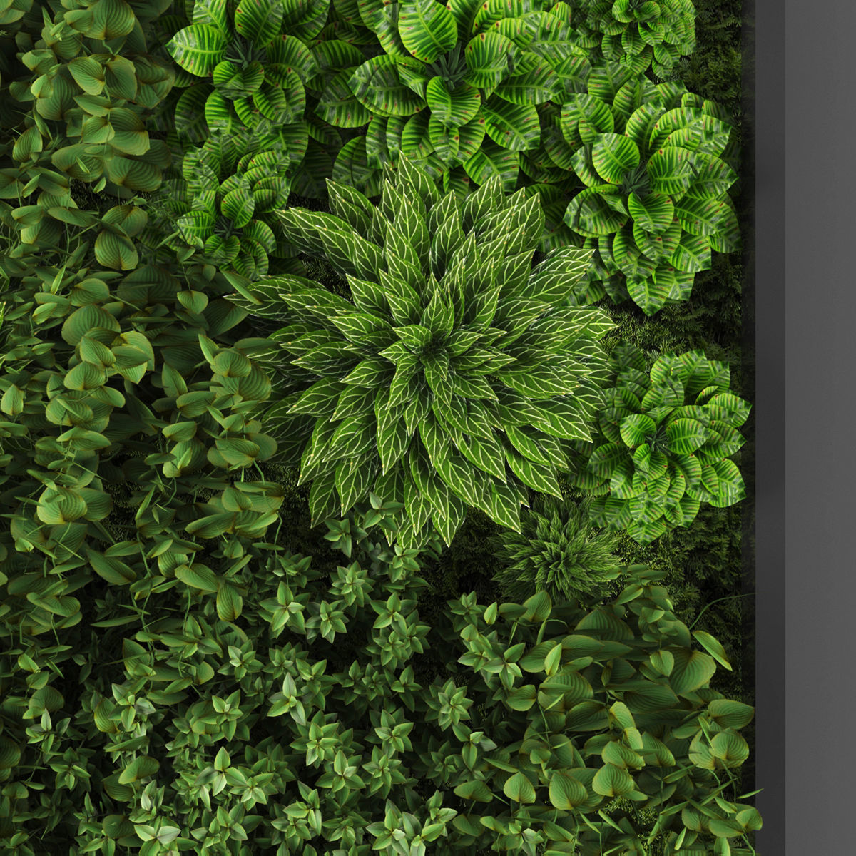 Vertical garden 109 Low-poly 3D model_1