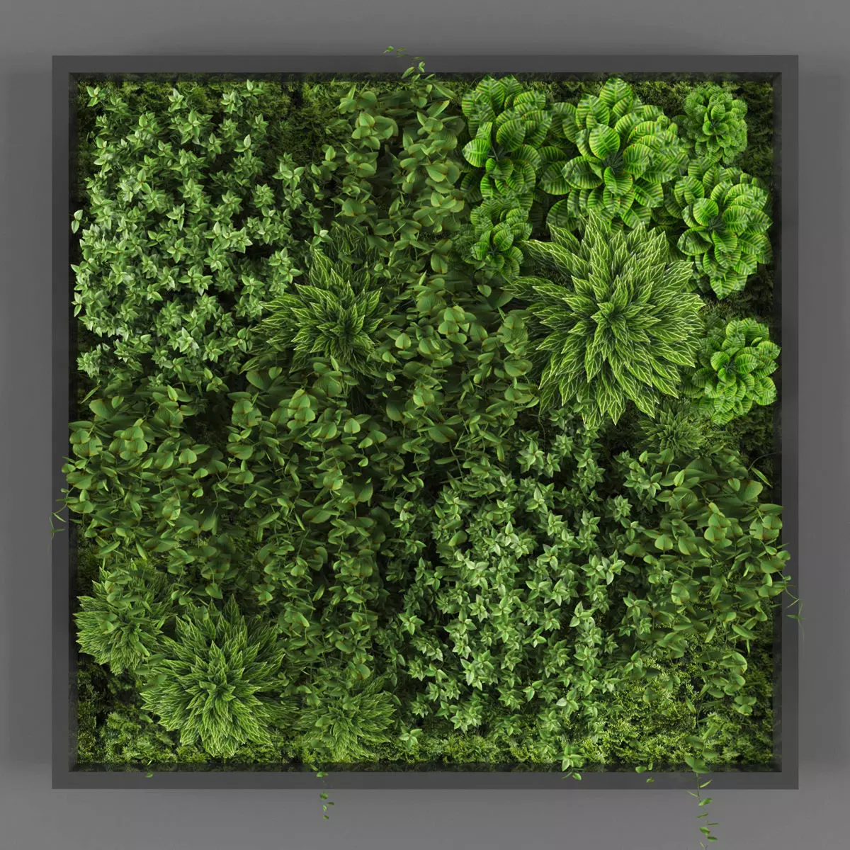 Vertical garden 109 Low-poly 3D model_0