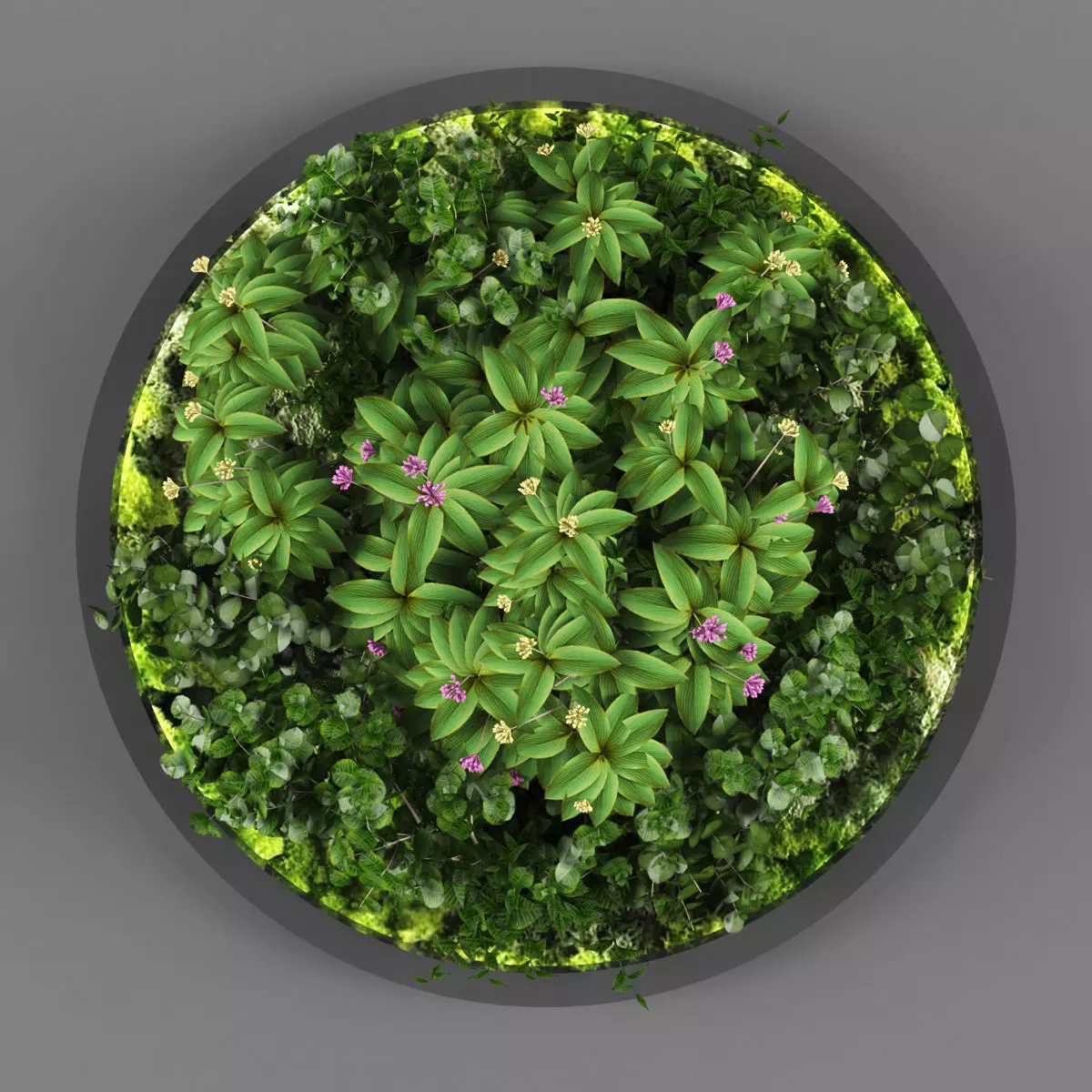 Vertical garden 113 Low-poly 3D model_0