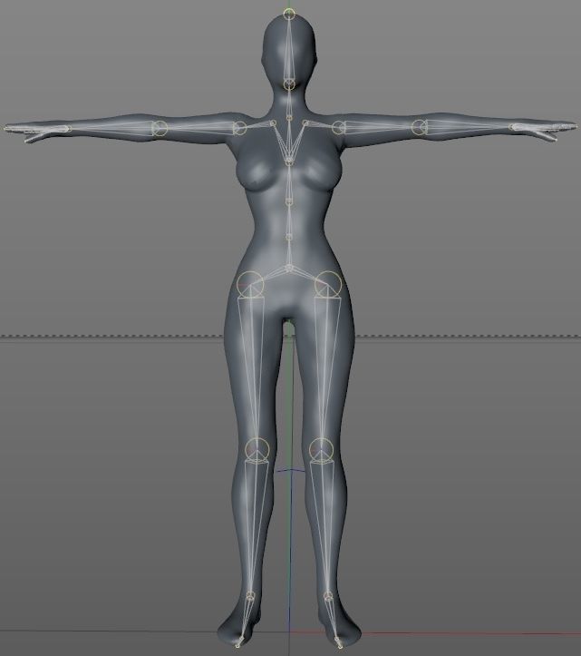 Faceless BaseMesh Woman 3D model_6