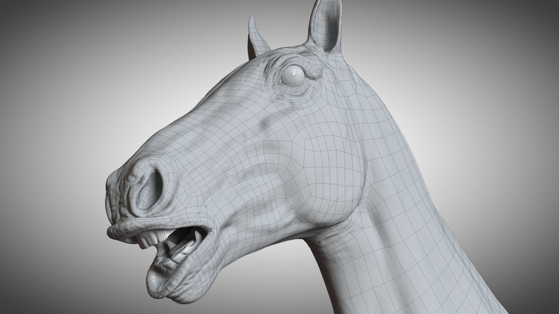 Rigged and Animated Stallion 3D model_17