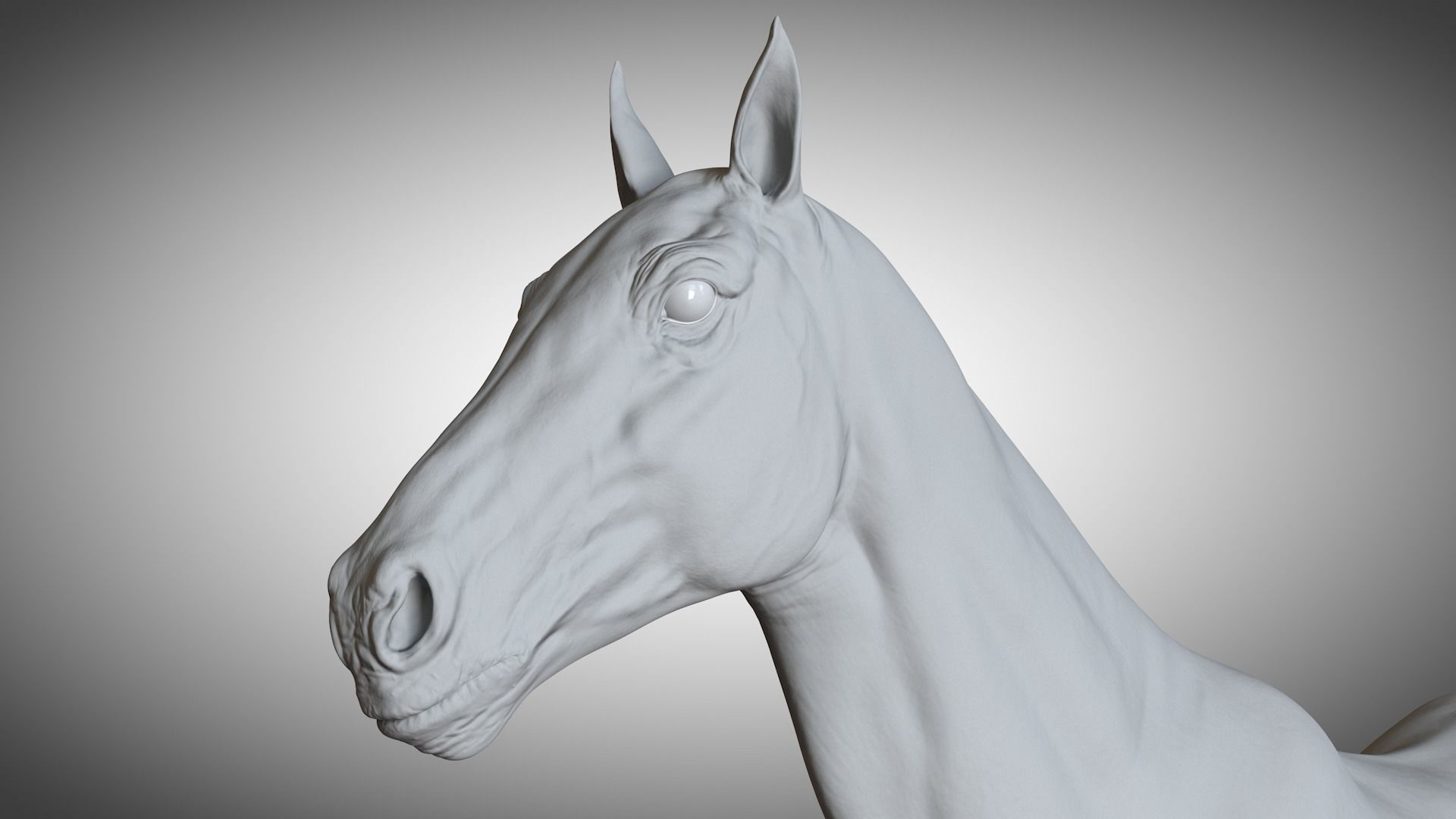 Rigged and Animated Stallion 3D model_16