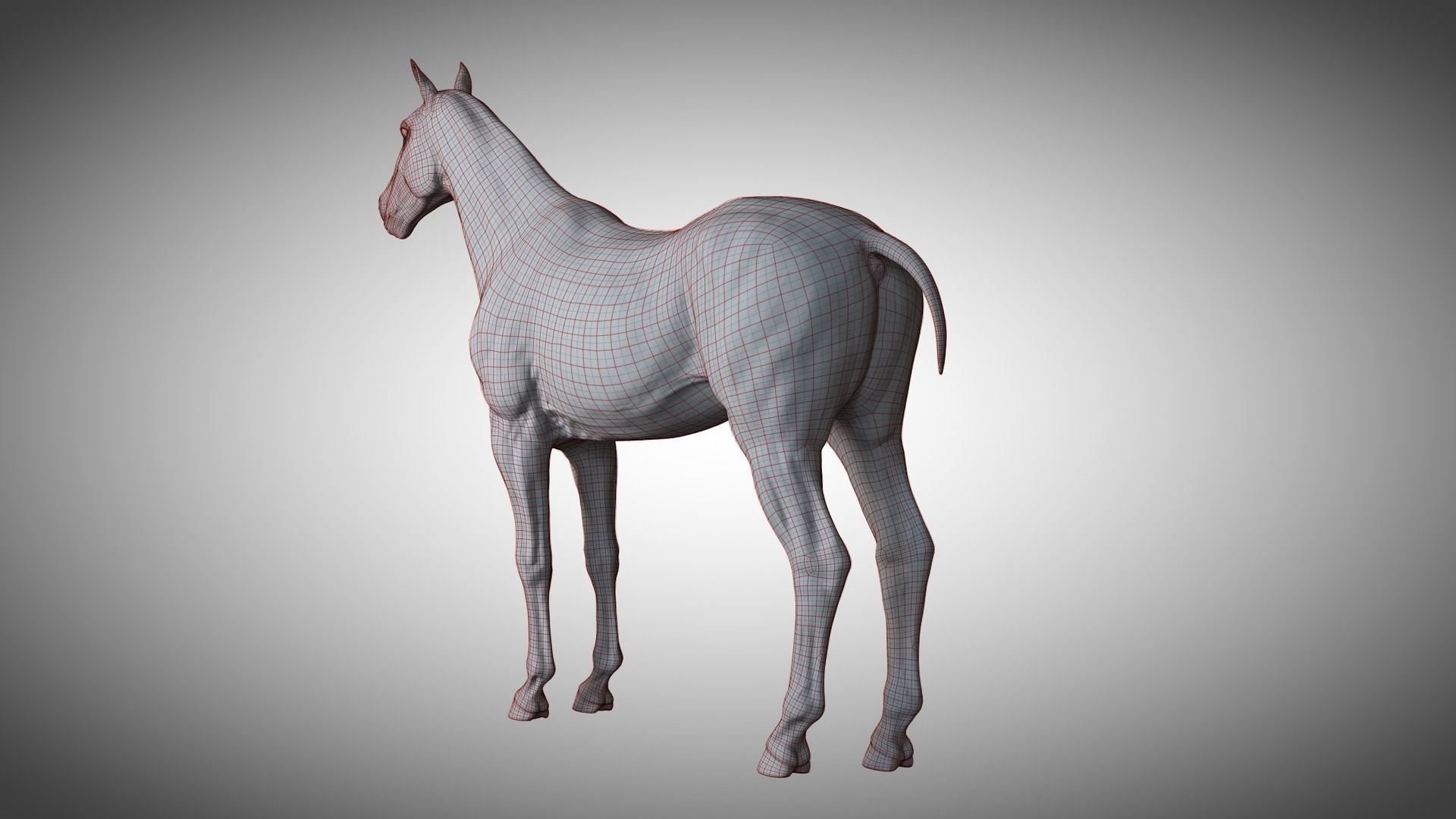 Rigged and Animated Stallion 3D model_15