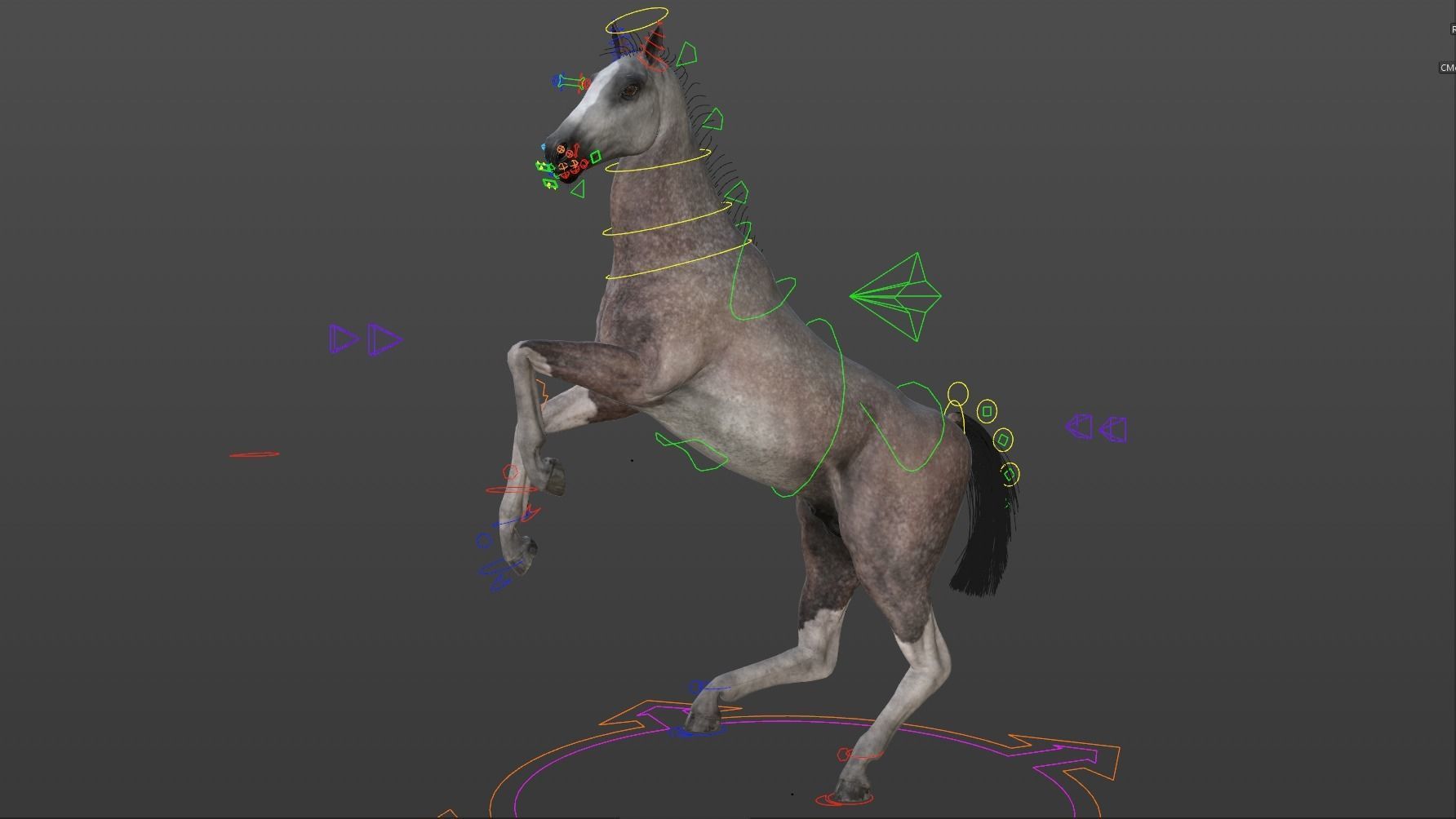 Rigged and Animated Stallion 3D model_10