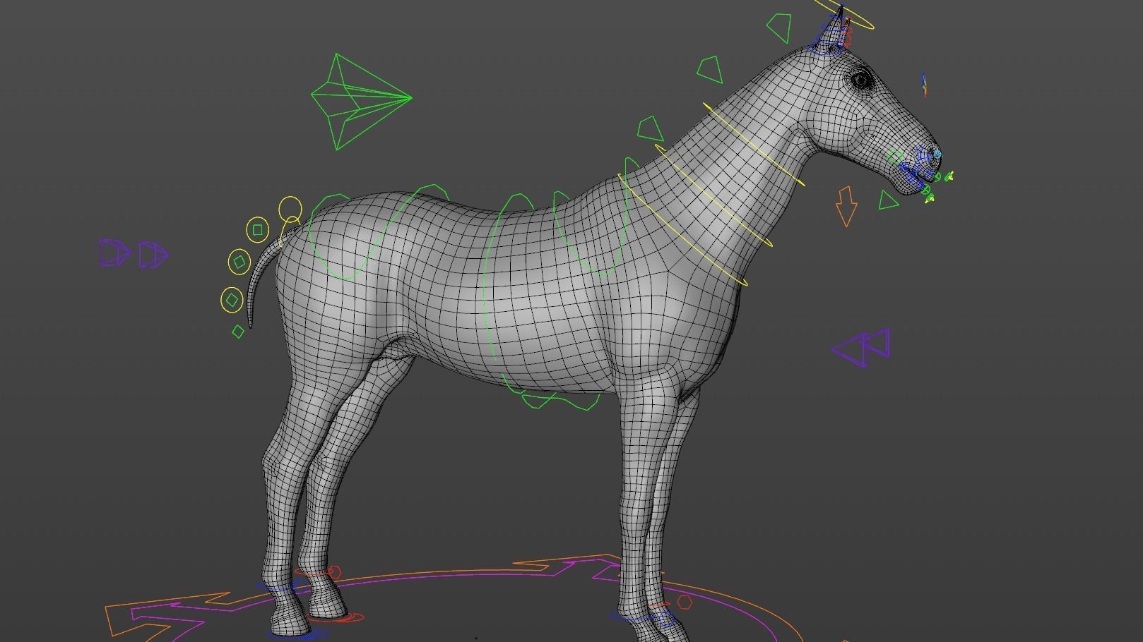 Rigged and Animated Stallion 3D model_19