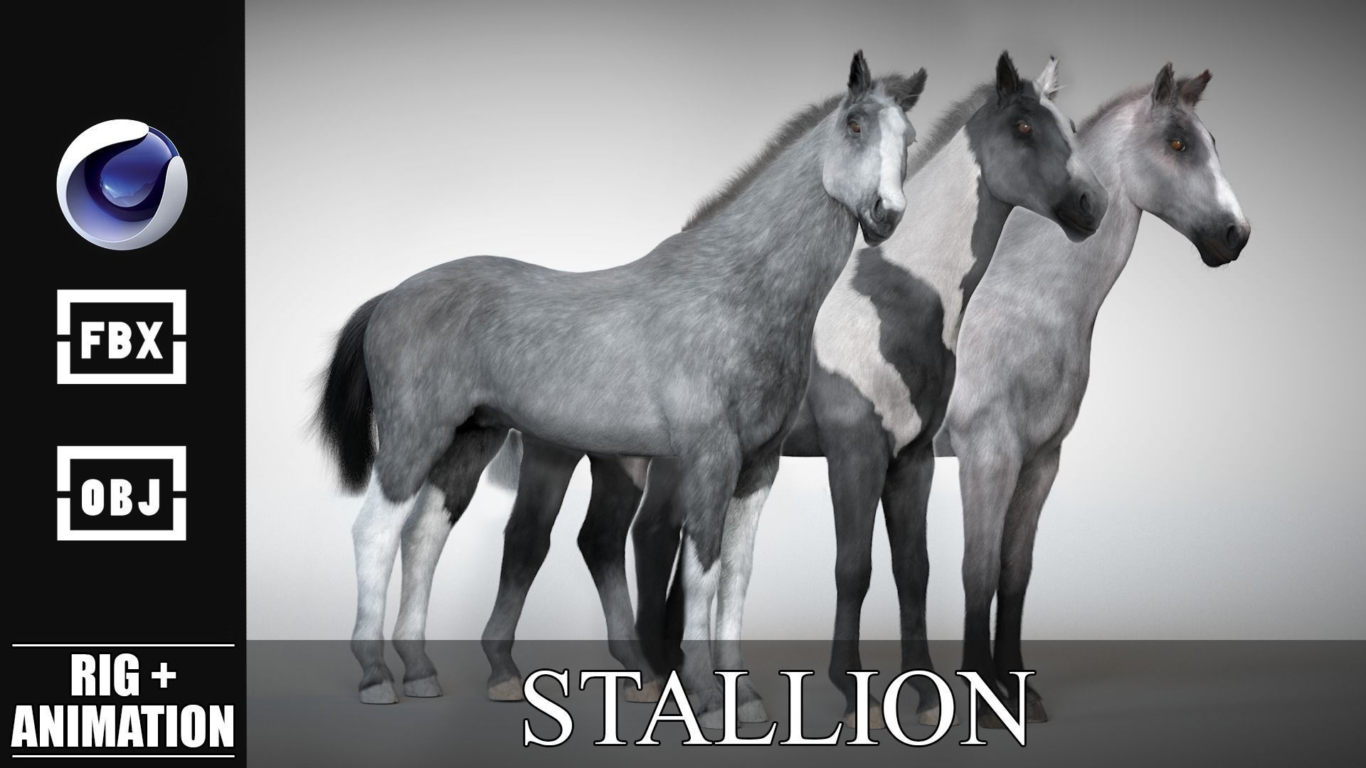 Rigged and Animated Stallion 3D model_3