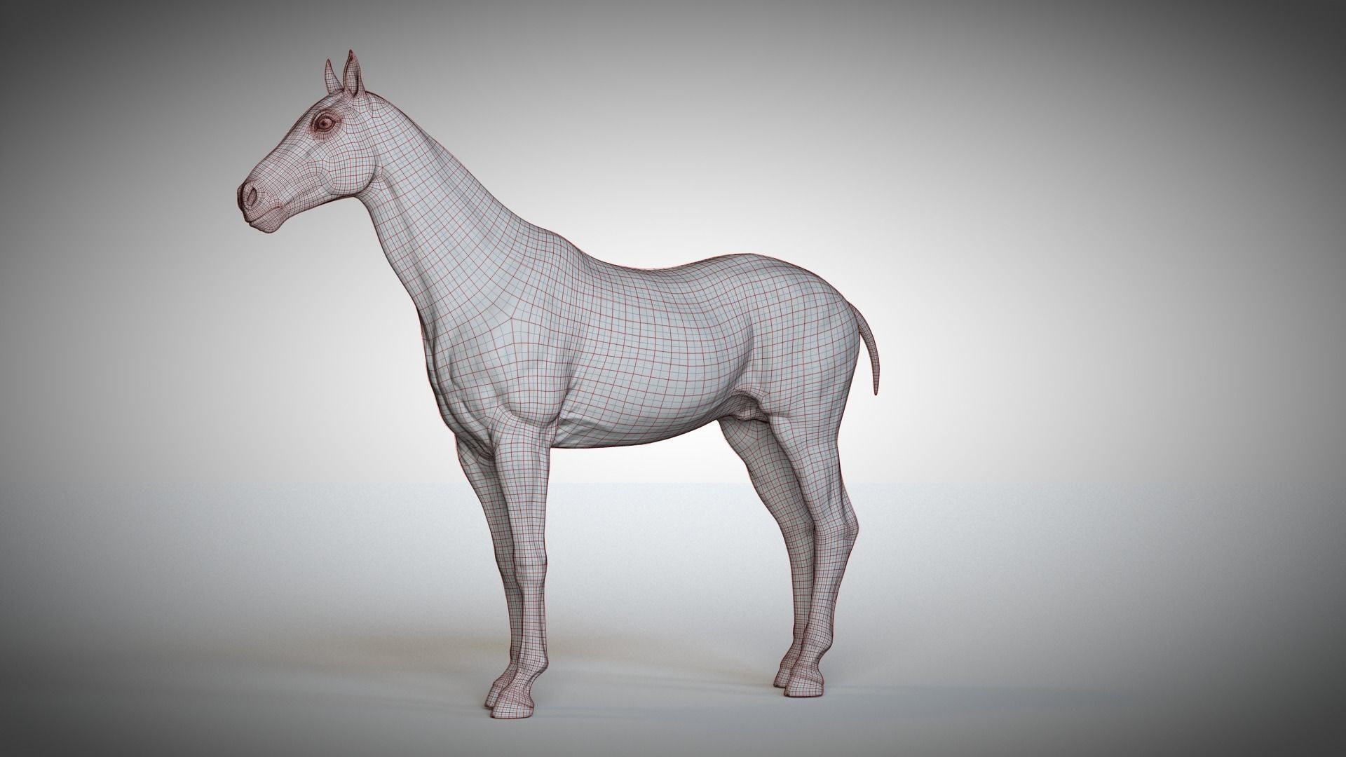 Rigged and Animated Stallion 3D model_14