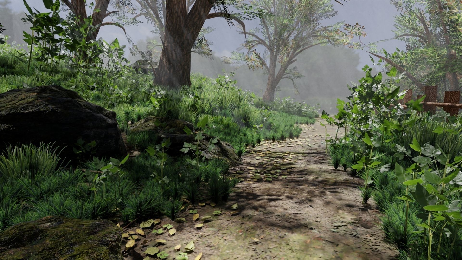 Forest path Scene 3D model_4