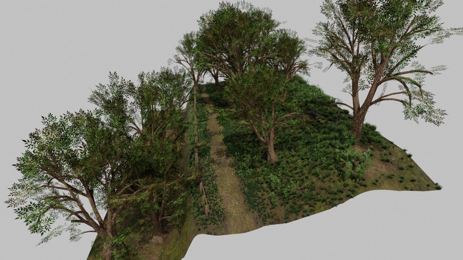 Forest path Scene 3D model_8