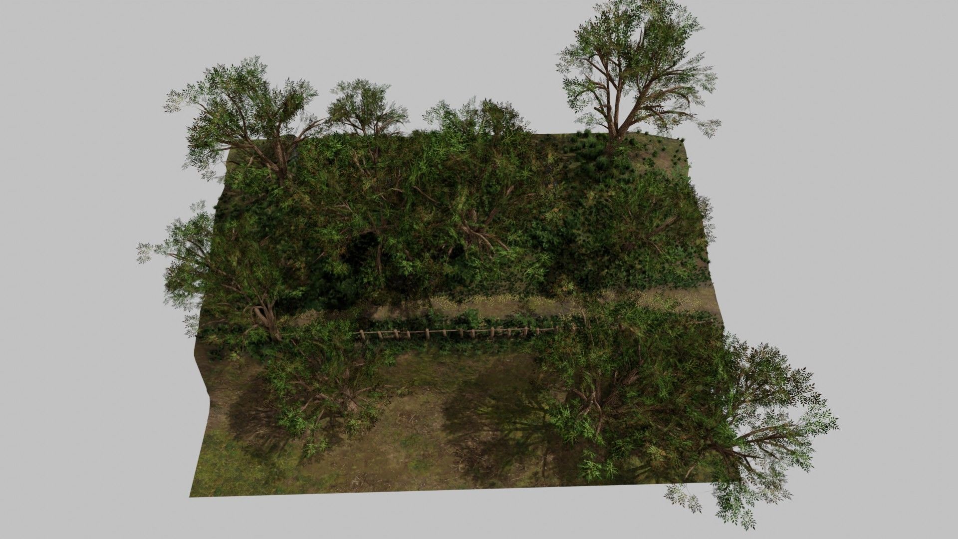 Forest path Scene 3D model_7