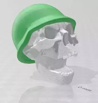 Soldiers Skull Free 3D print model