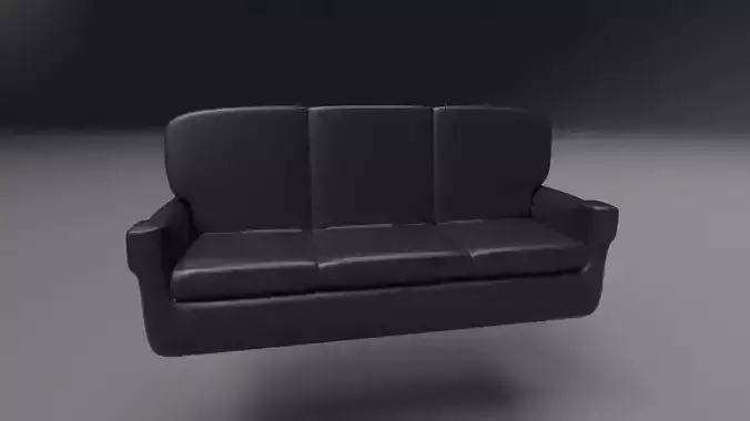 Black Leather Couch