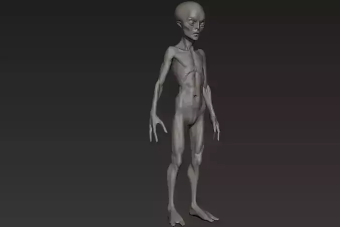 Alien Humanoid