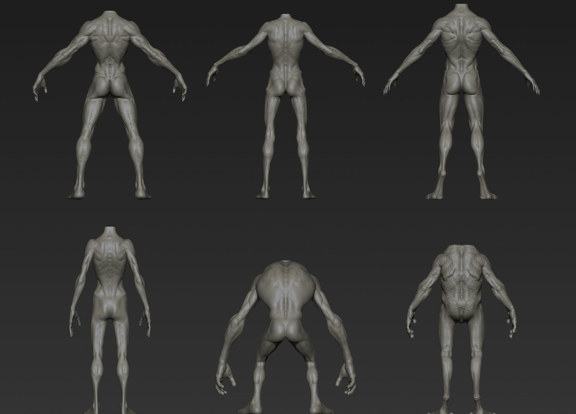 Creature Bodies Part 1 3D model_4